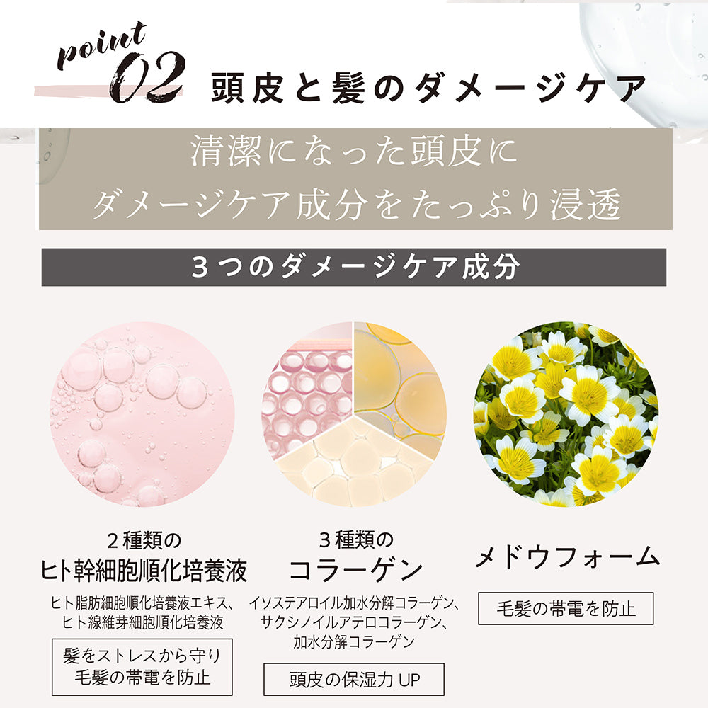 【LDK A評価受賞】 JOIE CELU （ ジョワセル ） ヒト幹細胞 シャンプー トリートメント