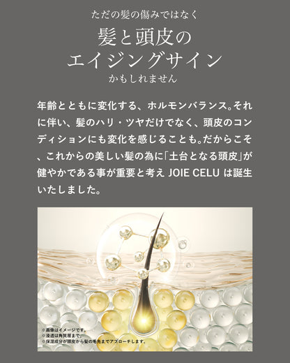 髪と頭皮のエイジングサイン。髪のハリ・艶、頭皮のコンディションを整えるシャンプー＆トリートメント