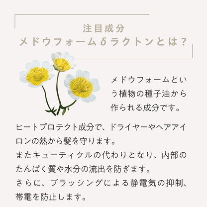 【LDK A評価受賞】 JOIE CELU （ ジョワセル ） ヒト幹細胞 シャンプー トリートメント