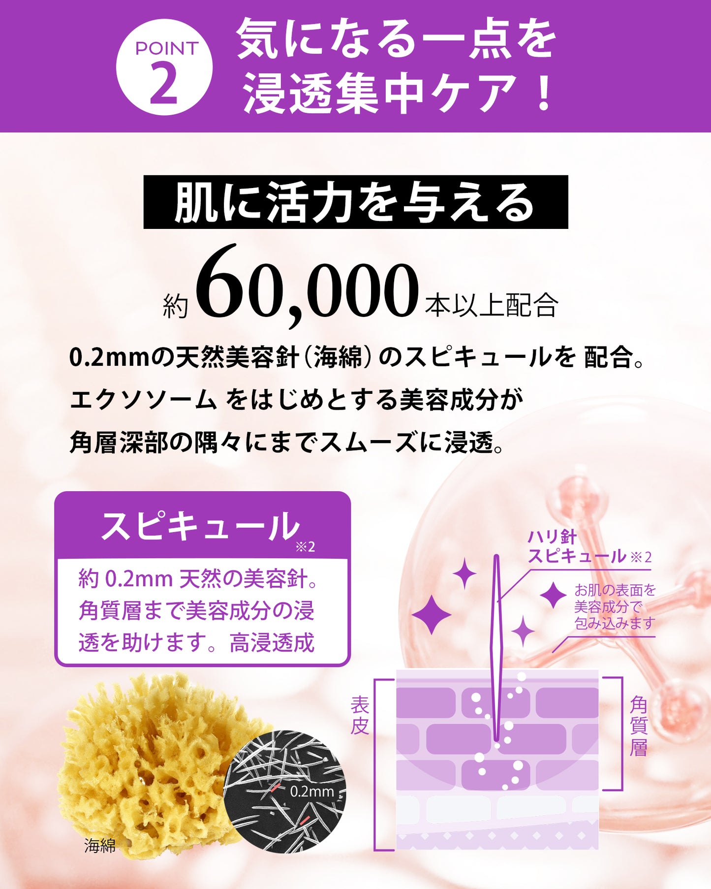 【気になるしわを徹底ケア】エクソソーム クリーム MARK AID マークエイド エクソスピキュールクリーム 15g