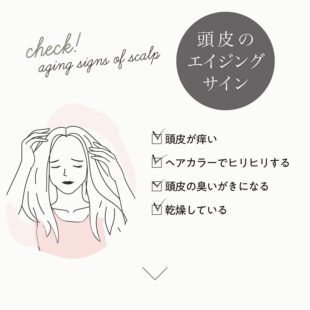 【LDK A評価受賞】 JOIE CELU （ ジョワセル ） ヒト幹細胞 シャンプー トリートメント