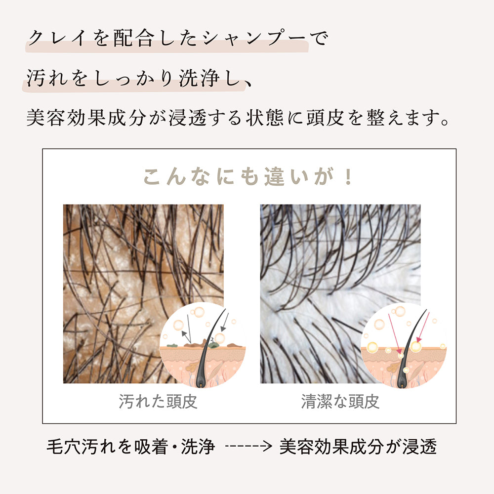 【LDK A評価受賞】 JOIE CELU （ ジョワセル ） ヒト幹細胞 シャンプー トリートメント