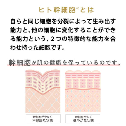 JOIE CELLULE（ジョワセリュール）セラム  美容液|ヒト幹細胞培養エキス EGF・FGF ヒト型セラミド配合