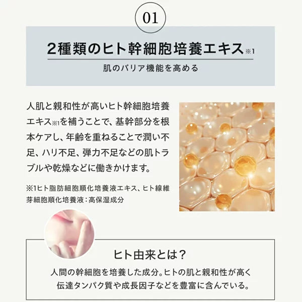 JOIE CELLULE （ジョワセリュール）エクソソーム フェイスマスク 10枚セット ｜ヒト幹細胞培養エキス＆エクソソーム配合