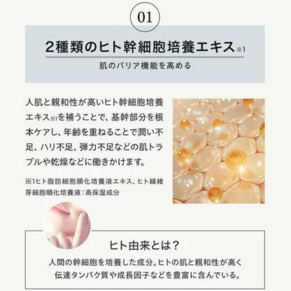 JOIE CELLULE （ジョワセリュール）エクソソーム フェイスマスク 10枚セット ｜ヒト幹細胞培養エキス＆エクソソーム配合